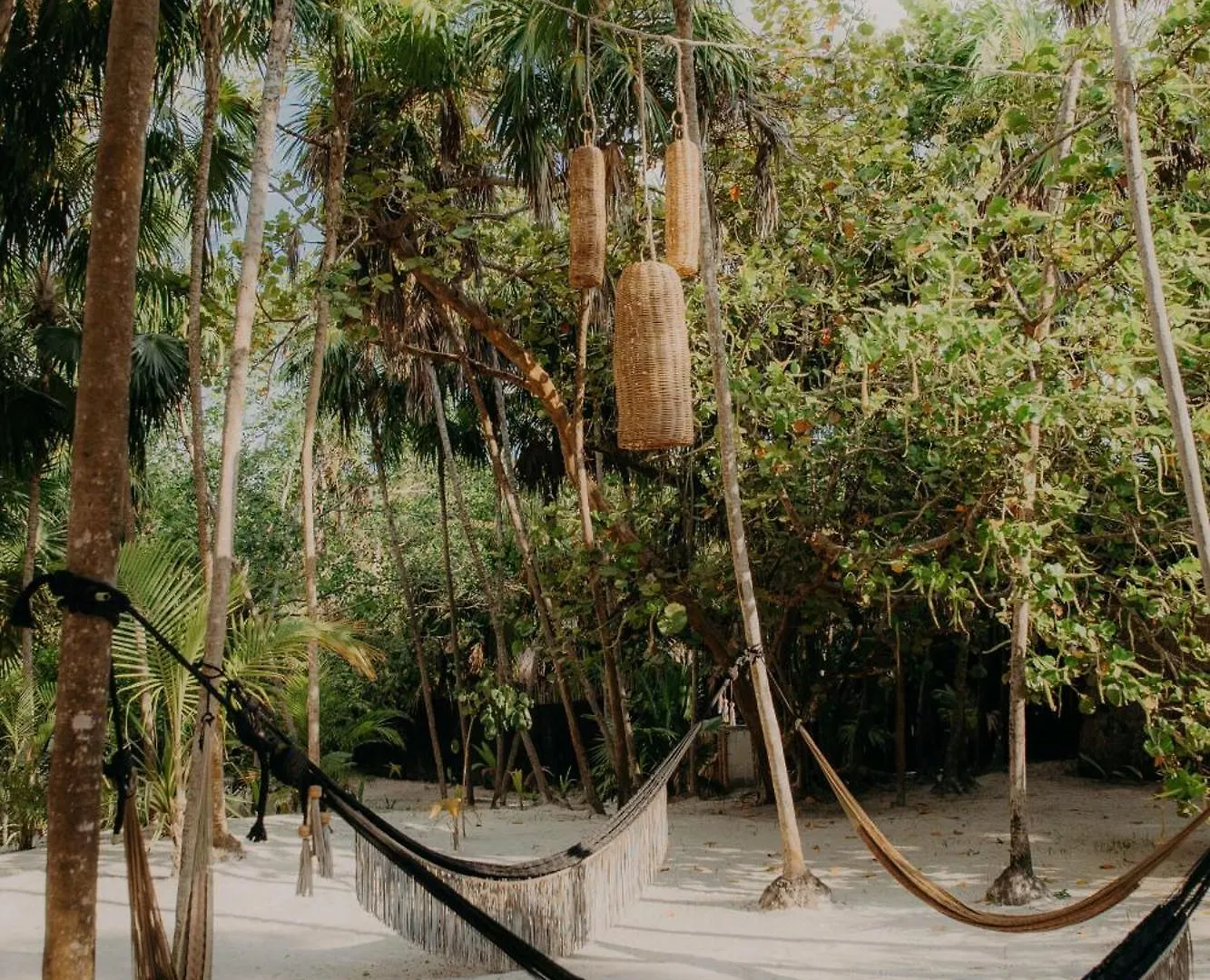 Luxury Apartment With Papaya Playa Project Beach Club Membership Included トゥルム