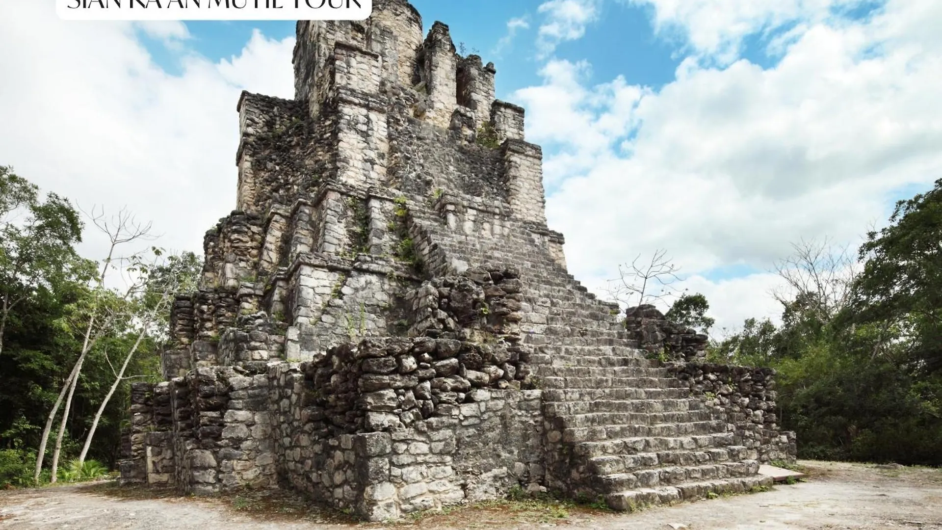 Luxury Apartment With Papaya Playa Project Beach Club Membership Included Tulum