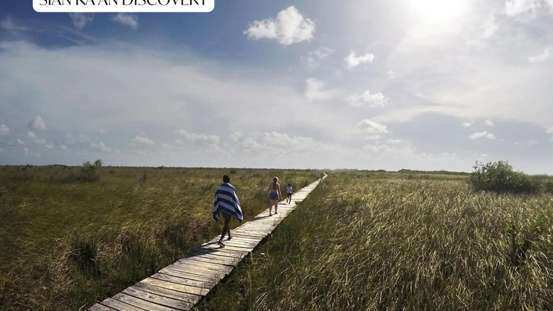 Luxury Apartment With Papaya Playa Project Beach Club Membership Included Tulum