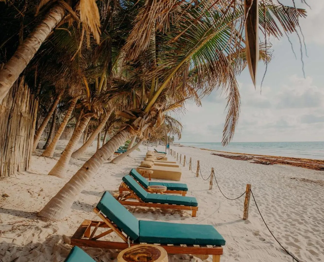 Luxury Apartment With Papaya Playa Project Beach Club Membership Included Tulum