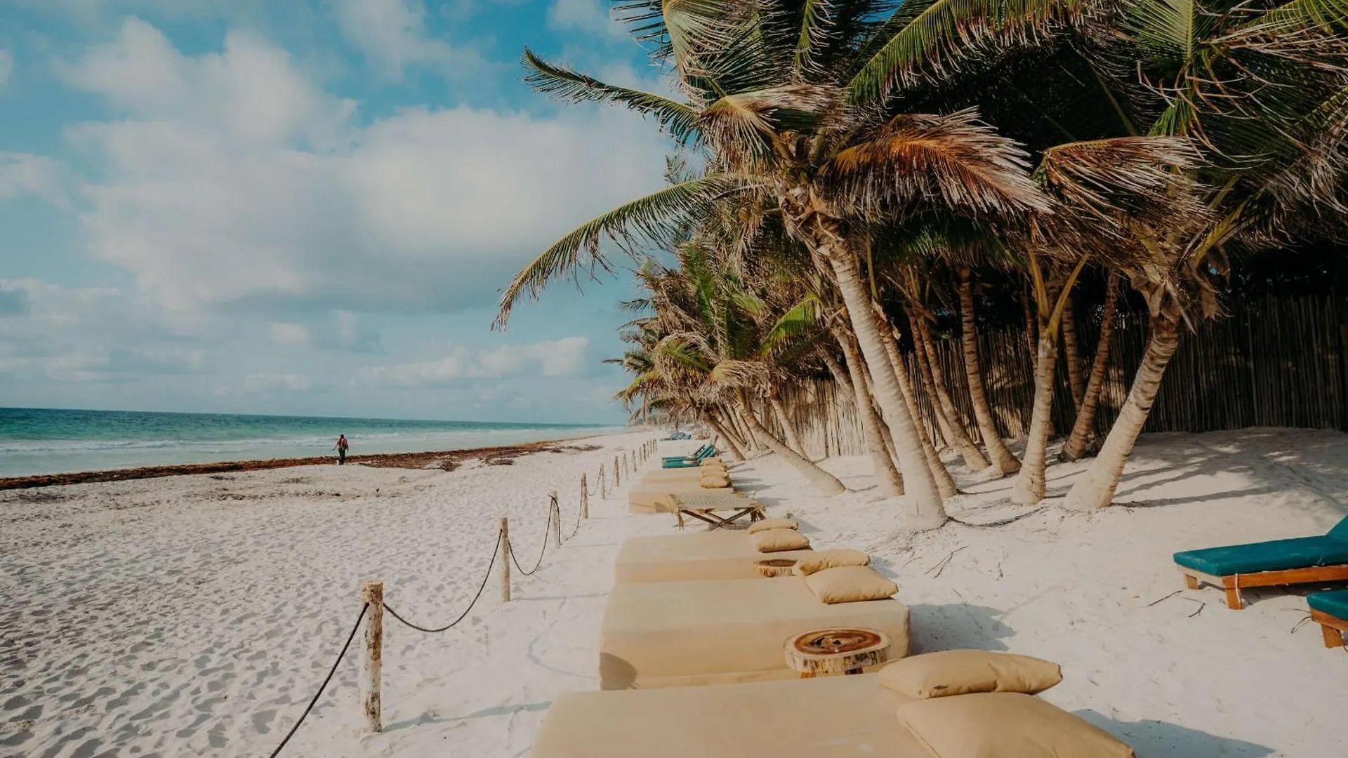 Luxury Apartment With Papaya Playa Project Beach Club Membership Included Tulum