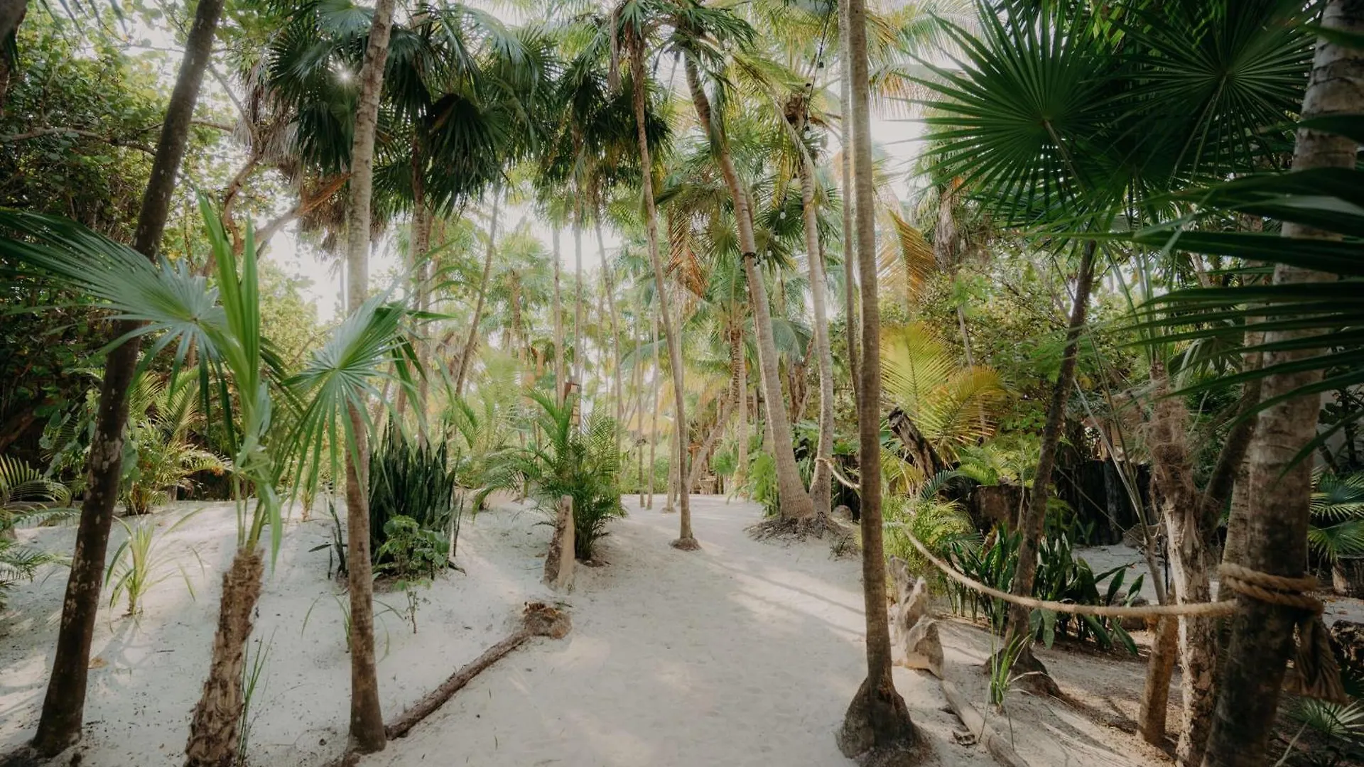 Luxury Apartment With Papaya Playa Project Beach Club Membership Included Tulum